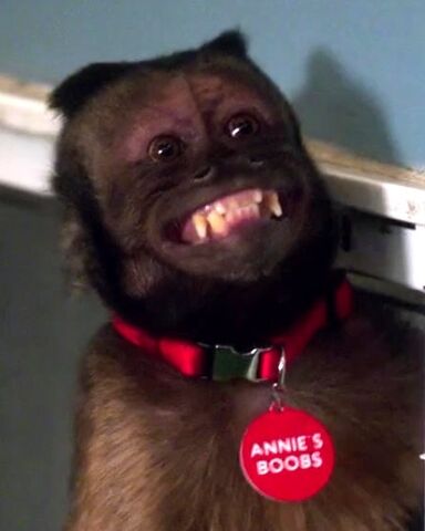 File:Annie's Boobs.jpg