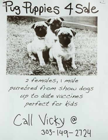 File:Greendale poster17.jpg