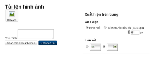 Tập tin:Tuy chinh chen anh.png