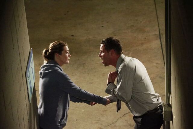 Ficheiro:Greys falltv.jpg