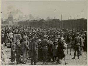 Selection-Auschwitz-1944