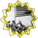File:Badge-picture-6.png