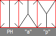 File:Platzhalter.png