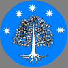 Intir coa