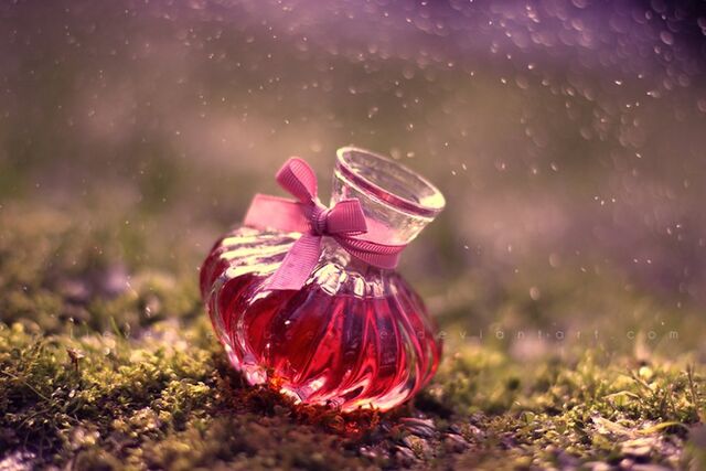 Fichier:12835 love-potion p.jpg