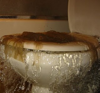 File:Overflowing-toilet.jpg