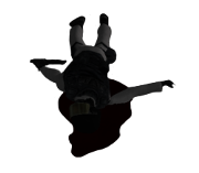 File:Suicide Guard.png
