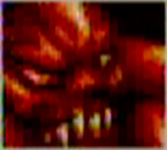 File:Beast.png