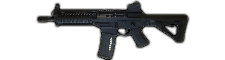 Sig556.png