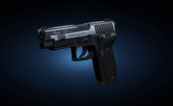 P226.png