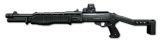Rifle spas wtask
