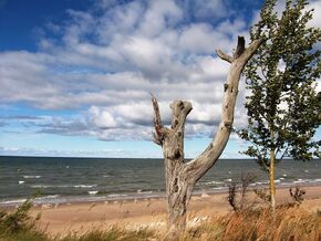 Cape Kolken, the north-western limit of the Gulf of Riga.