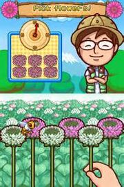 Pick flowers!