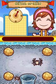 Catch crabs!