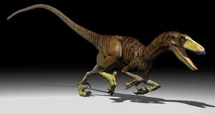 File:Deinonychus.jpg