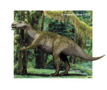 File:350px-Muttaburrasaurus.jpg