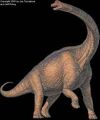 Thumbnail for version as of 13:54, October 29, 2011