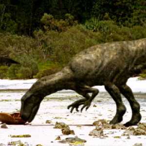 File:Eustreptospondylus.jpg