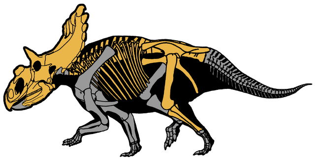 File:Kosmoceratops richardsoni.png