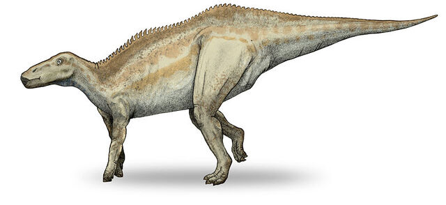 File:800px-Shantungosaurus-v4.jpg