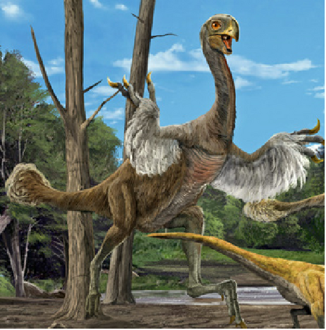 File:Gigantoraptor.png