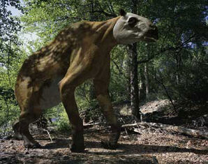 Chalicotherium
