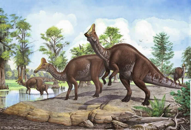 File:SergeyKrasovskiyAmurosaurus.jpg