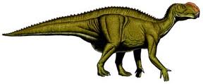 File:Altirhinus.jpg