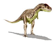 File:220px-Rugops BW.jpg