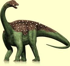 File:Saltosaurus.jpg