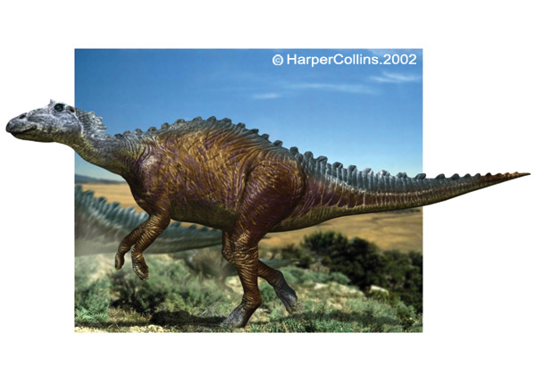 File:Maiasaurus.jpg