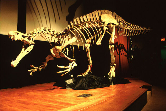 File:Untitled7 56778.jpg