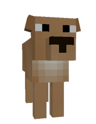 Copious Golden Retriever