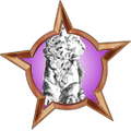 Thumbnail for version as of 09:33, June 29, 2012