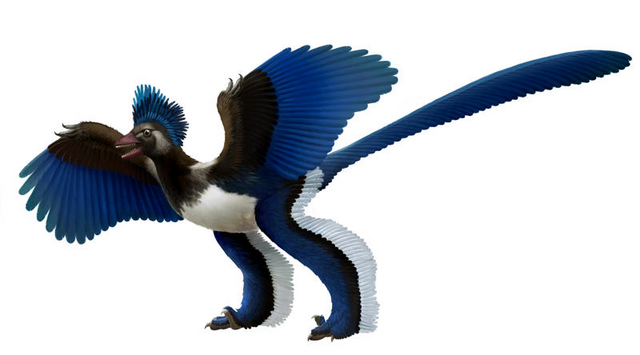 Archivo:Wikia-Visualization-Add-3,esprehistrico.png