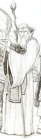 Fichier:177px-Half-elfmagicuser.jpg