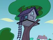 Baumhaus.jpg