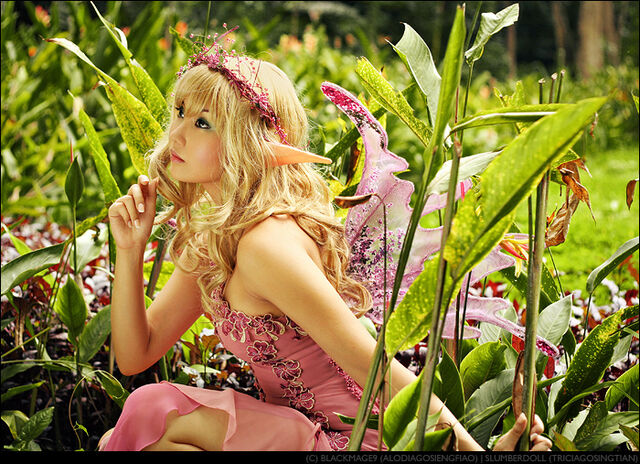 File:Alodia-ElvenFairy.jpg