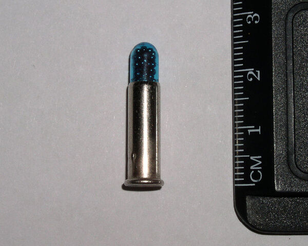 File:750px-.22LR ratshot.jpg