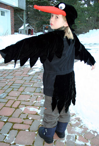 File:Raven-back.jpg