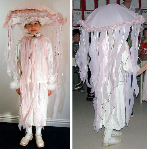 File:Jellyfish.jpg