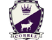 Set cobblestone-1-.png