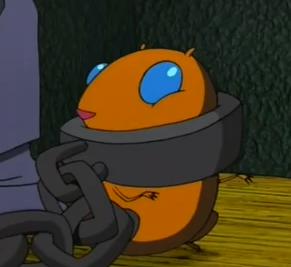 File:Hamster-0.jpg