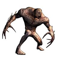 Freak CD2