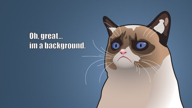 File:Grumpy-cat-wallpaper-7.jpg