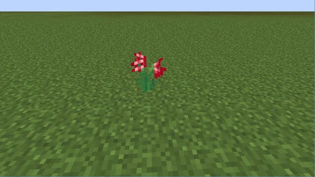 Plik:Red Ammaryllis.jpg