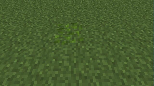 Plik:Leaf Pile.jpg