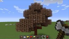 Umber Autumn