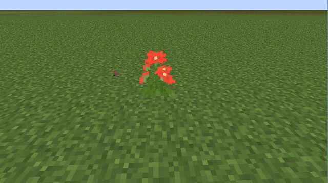 Plik:Red Gerbera.jpg