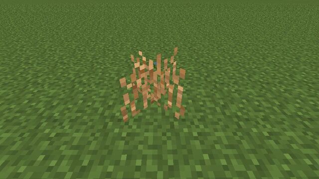 Plik:Brown Grass.jpg